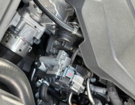 Kia Sorento 2.2 Dầu Signature 2021 