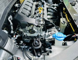 Sonet 1.5 Deluxe 2024